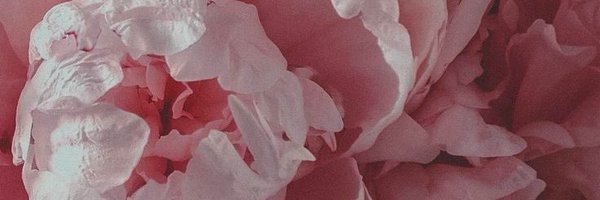 AnnH666 Profile Banner