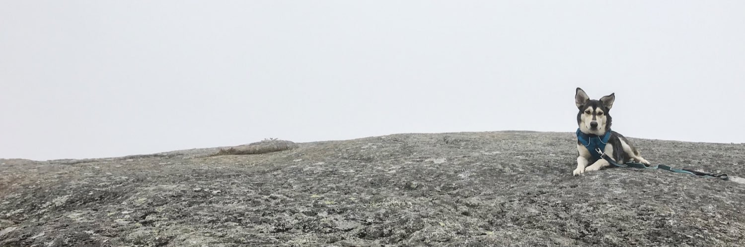 ∴ Chelsea Peterson ∵ banner