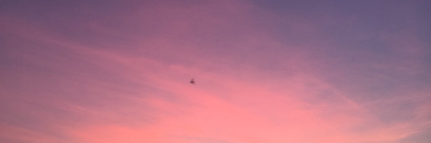backintime_o's profile banner image