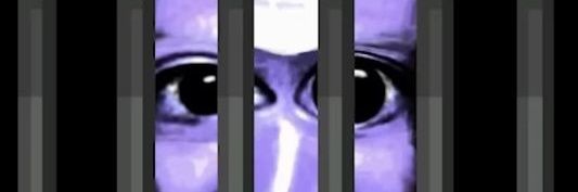 Mapache 🦐's banner