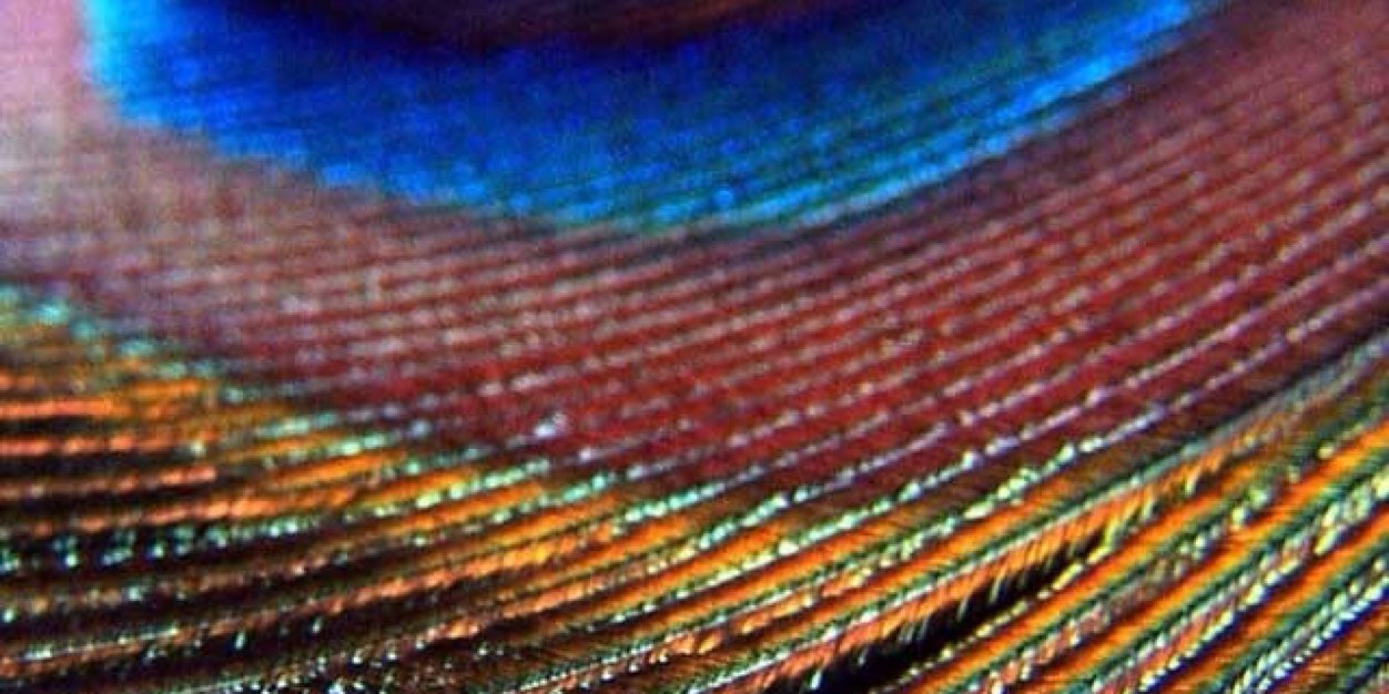 riverblauw's profile banner image