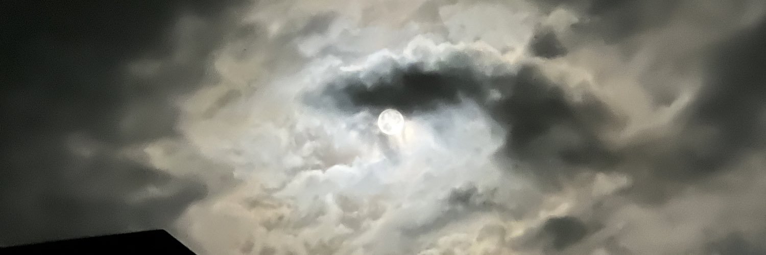 fraubar's profile banner image