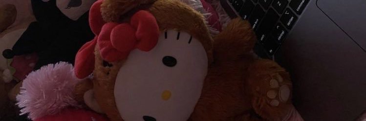 Alisonn__uwu's profile banner image