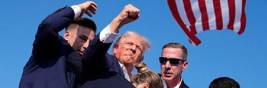 Walter Anderson banner