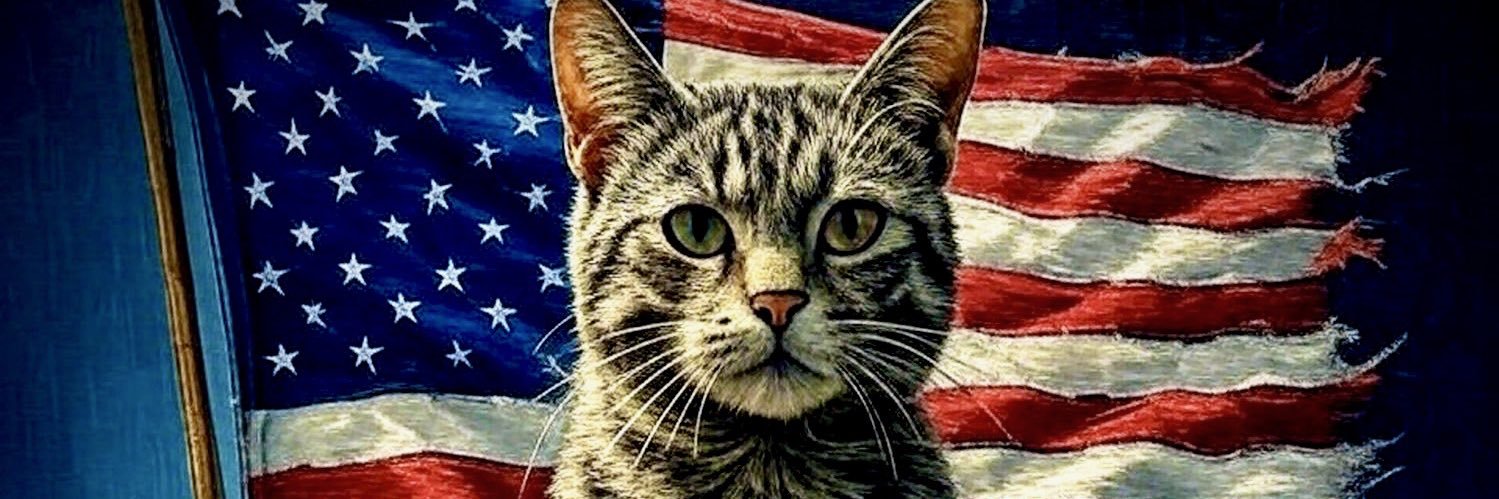 thinkerwishy's profile banner image