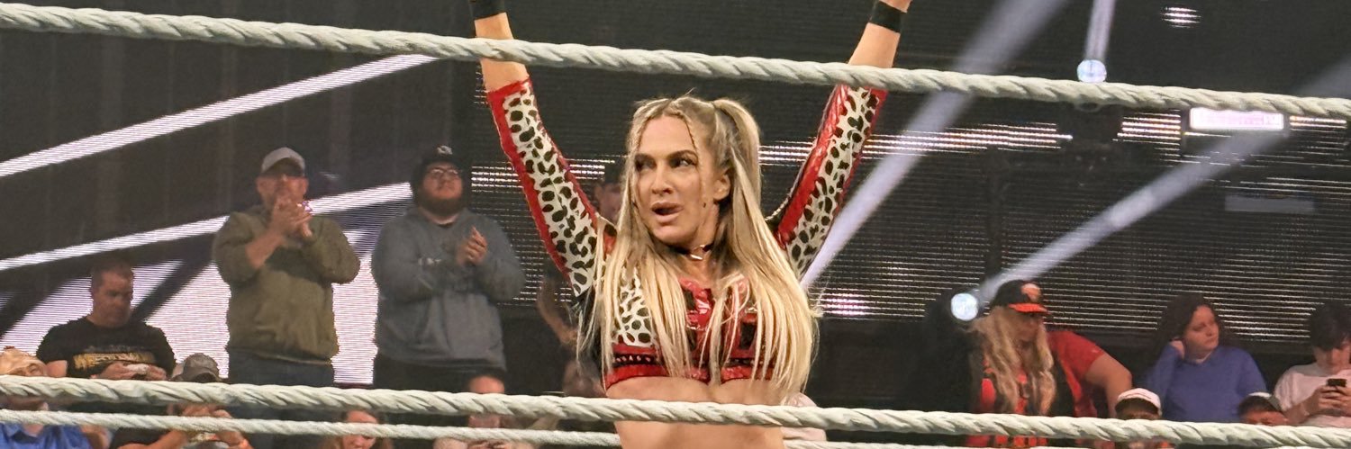 Roman’s Spear banner