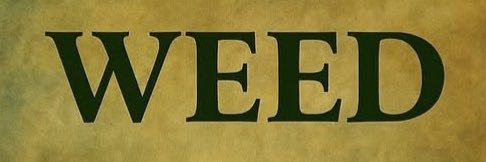 Rachel Allred 🇺🇸 banner