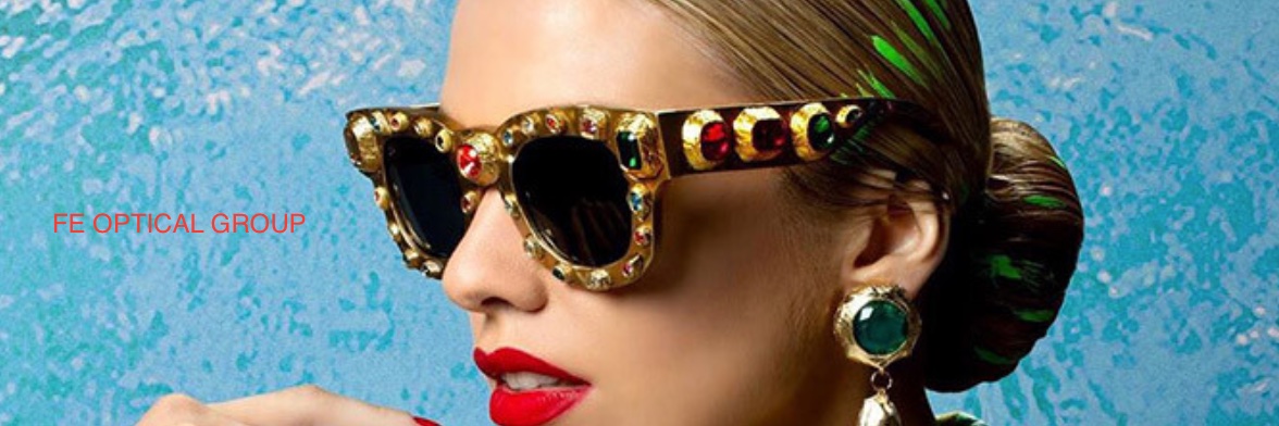 FEOpticalGroup's profile banner image