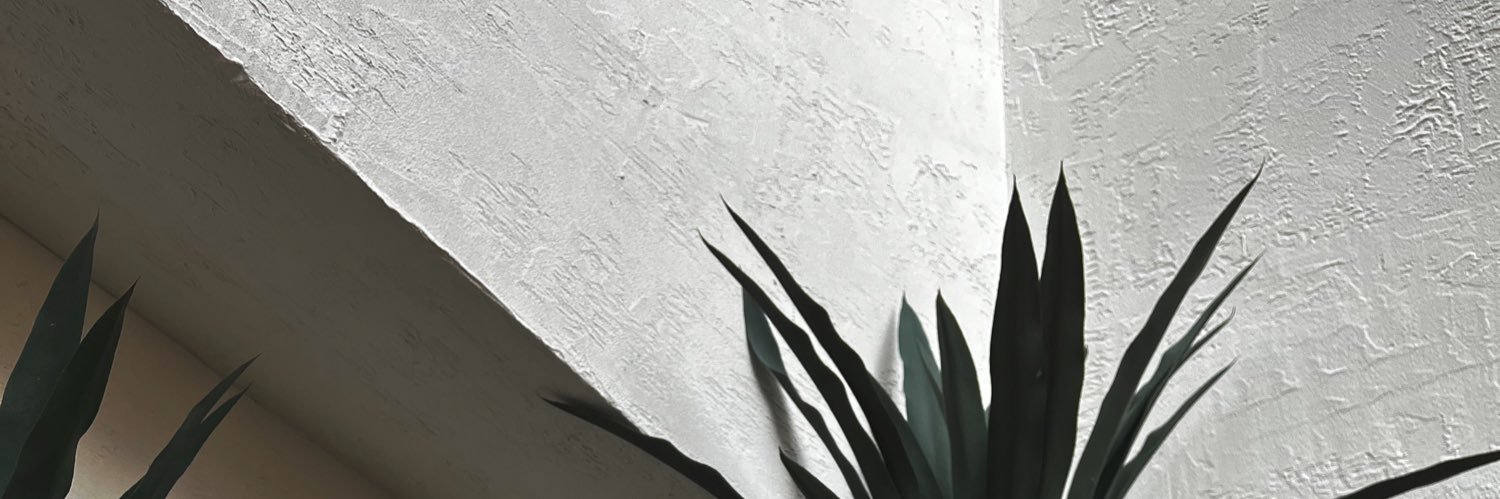 TiaSabb's profile banner image