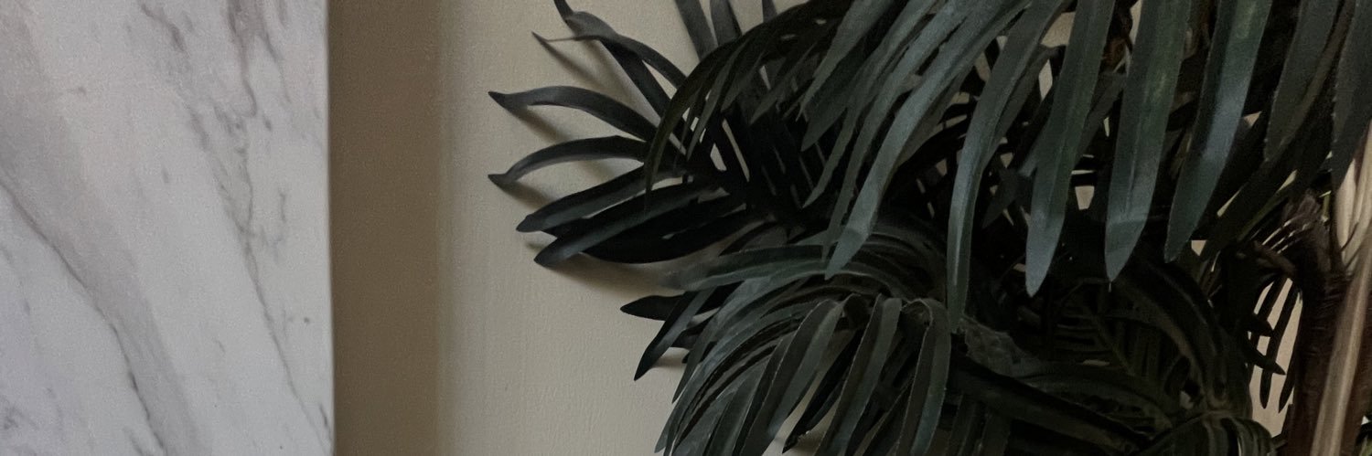 karinalozanoA's profile banner image