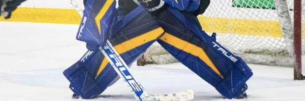 letsgoblues85 Profile Banner
