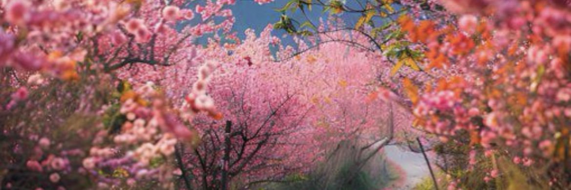 MinnesotaNice🥶 banner