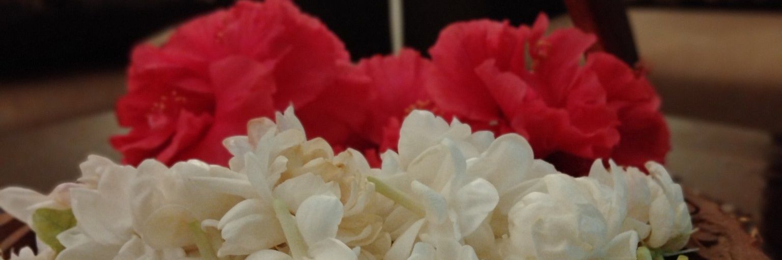 Masoom💖 banner