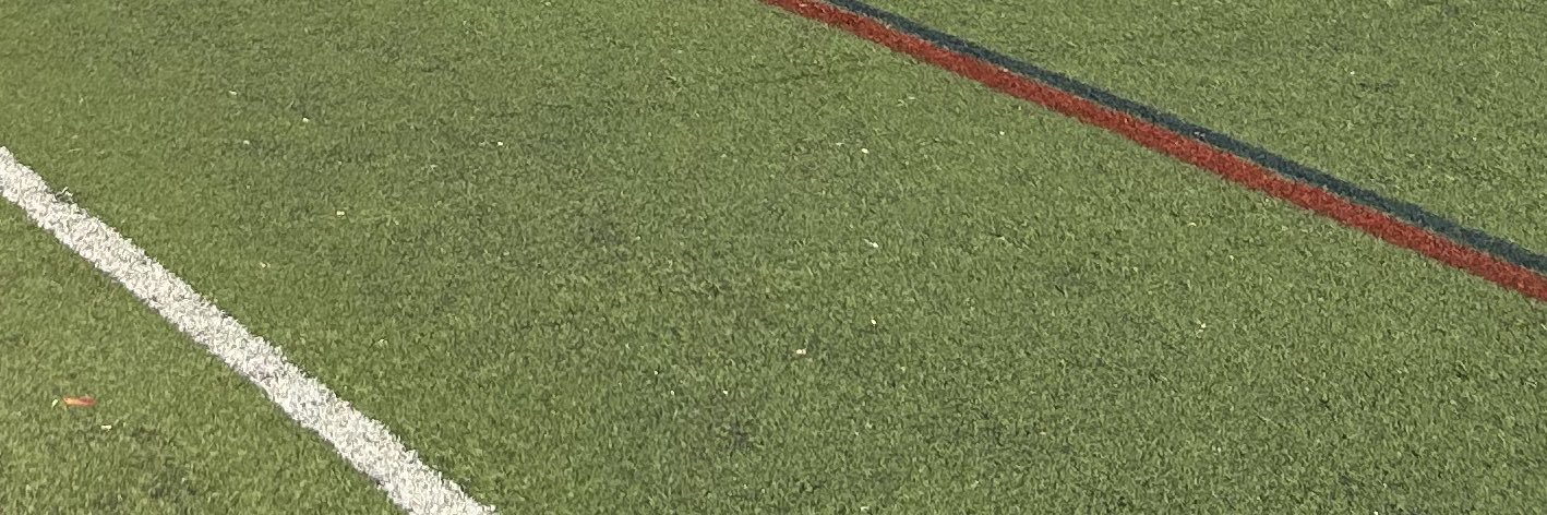 taylorholko's profile banner image