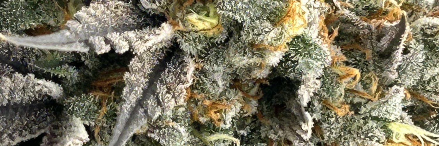 DDFARM420's profile banner image