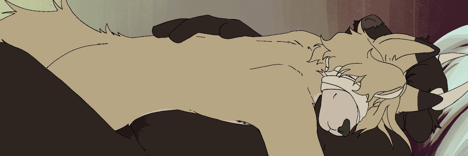 PSTDNSFW's profile banner image