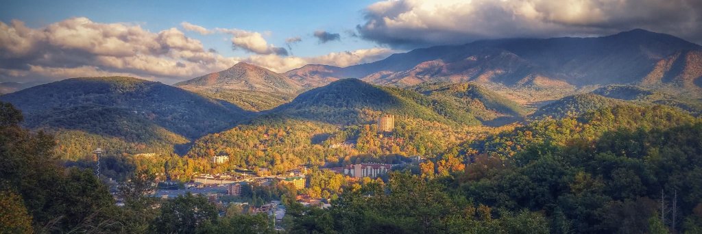 Laura Stevens banner