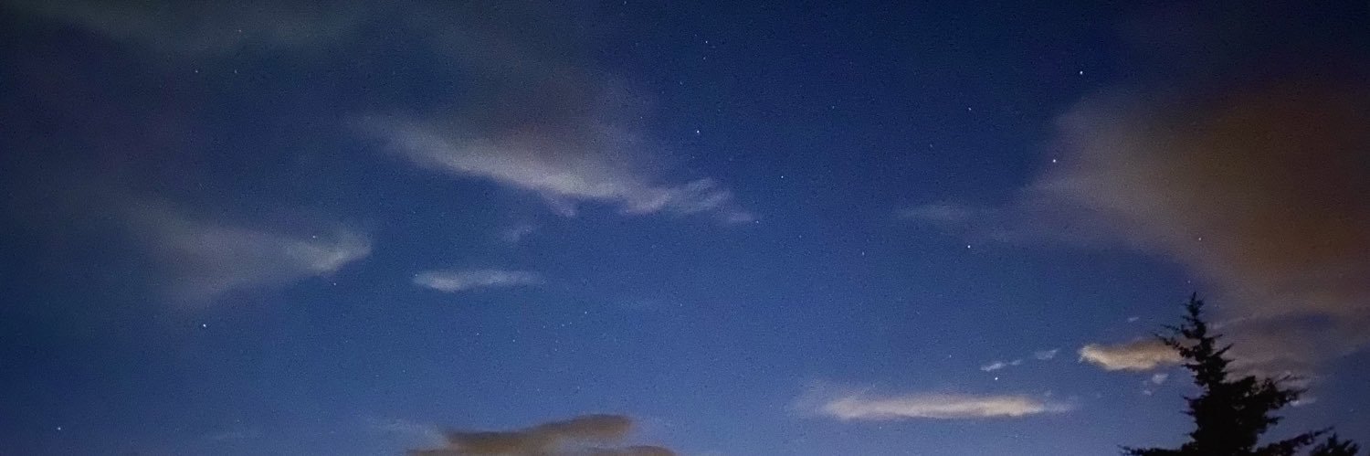 Ripper Arts Studio banner