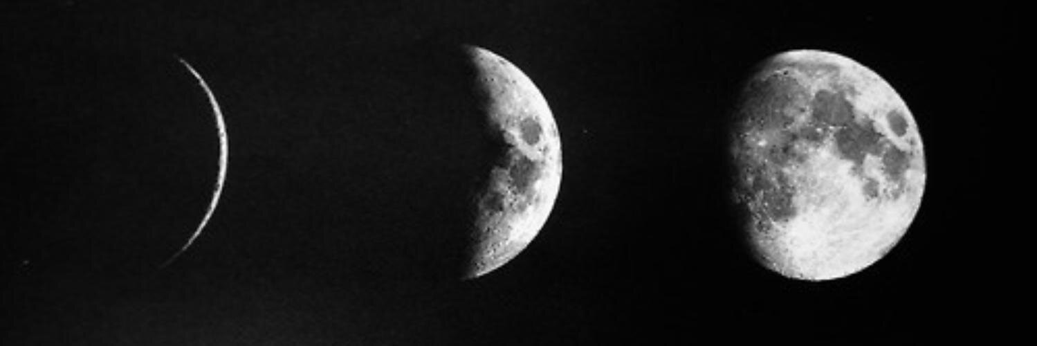 littlebex_'s profile banner image