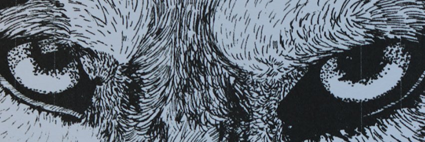 CoteGonzalez9's profile banner image