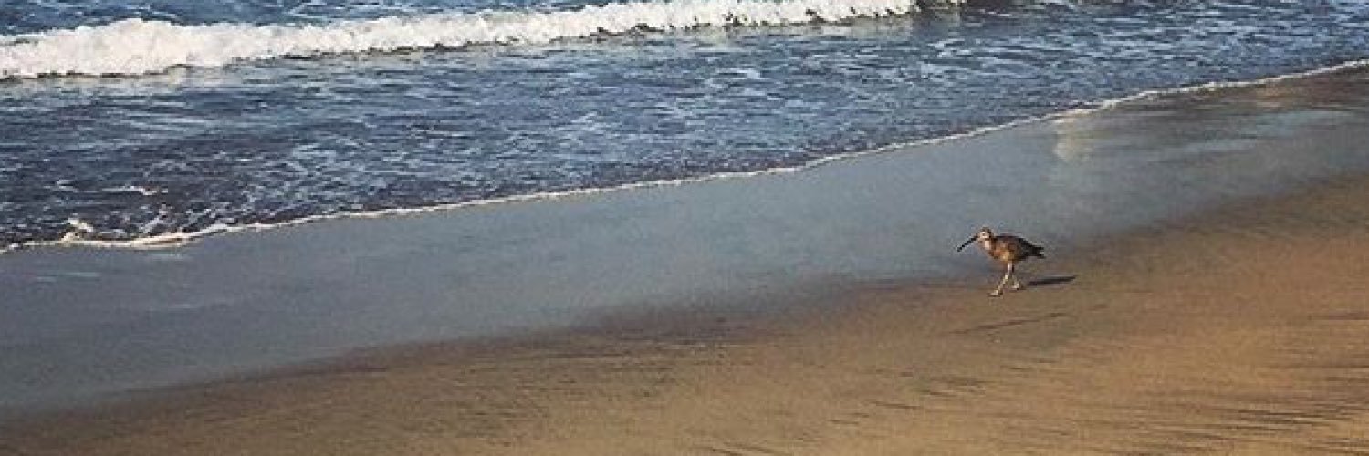 Rodrigo Espino banner