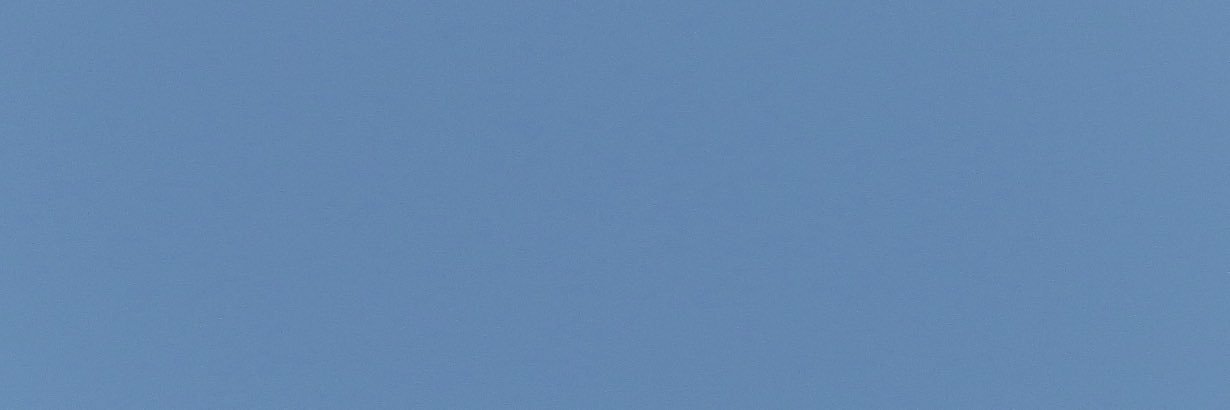 すず😽🧋 banner