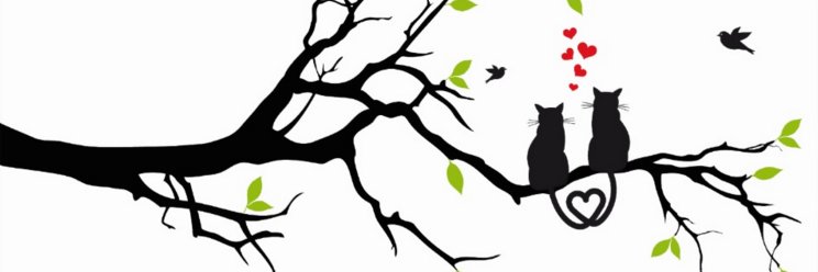 L_ALESSITA's profile banner image