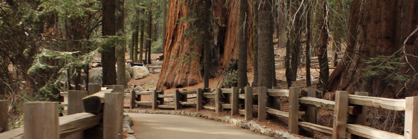 KokomoCole's profile banner image