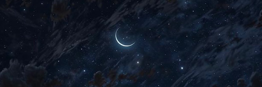 aussieangelic's profile banner image