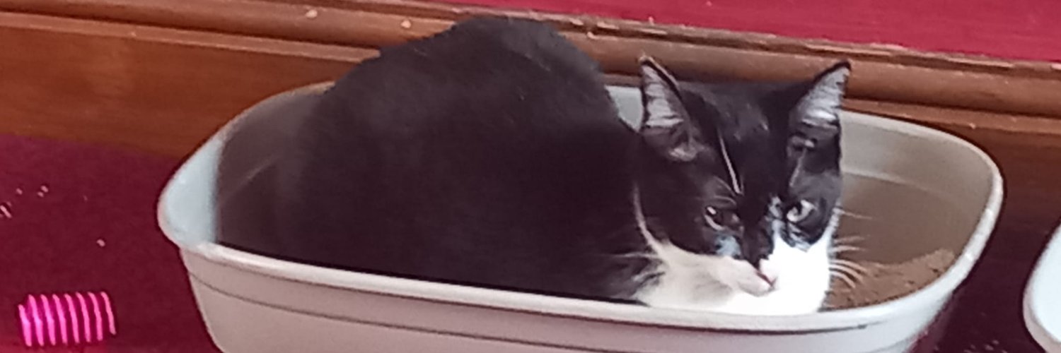 tim0000's profile banner image