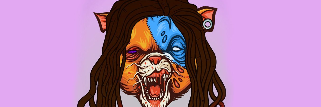 LilRiou's profile banner image