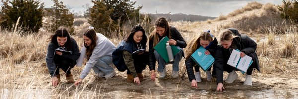 MCADirector Profile Banner