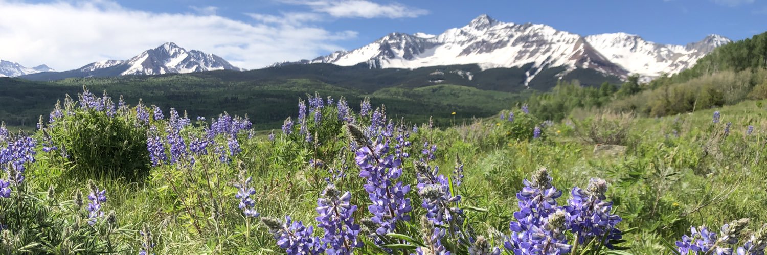 emilyecoleman.eth banner