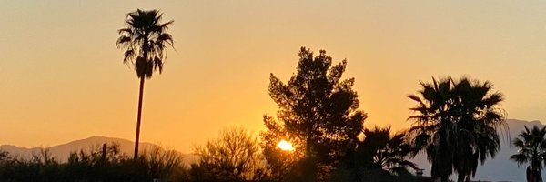 cvanSTL Profile Banner