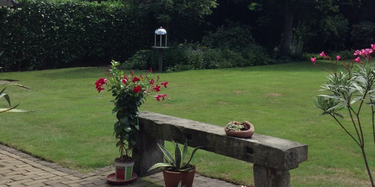 erwillems's profile banner image