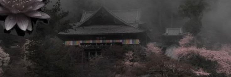 sushassss's profile banner image