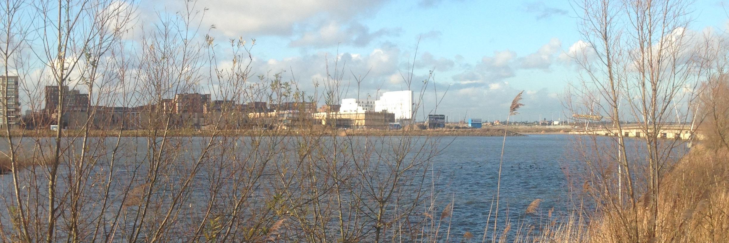 Maritge Wielaard banner