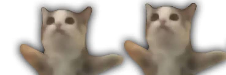 ぱみゅ banner