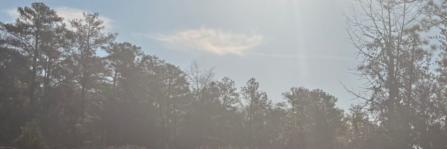 x̌łəɓ banner