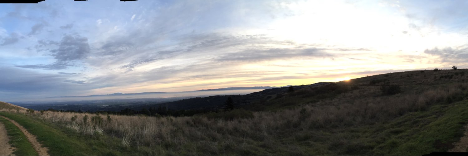 Danielle Touma banner