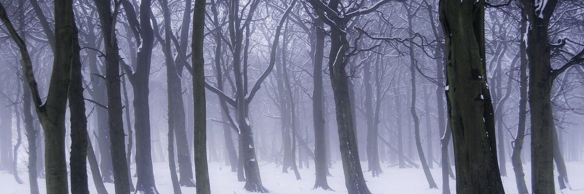 Winter in Zozah: A Witch Hat Atelier Zine's banner
