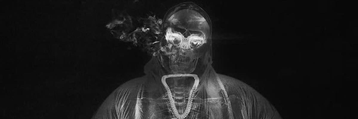 NIGGANOOBSAIBOT banner