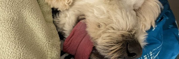 WaltMcGoo Profile Banner