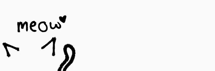 Rayne banner