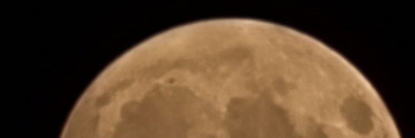 Tasmant__ Profile Banner