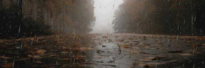 erickc_30's profile banner image