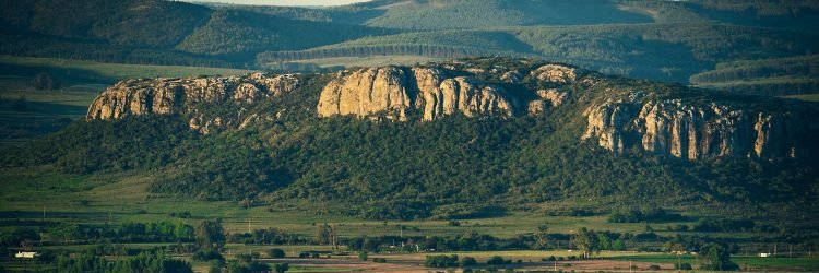 Walter Martinez 🇸🇴 banner
