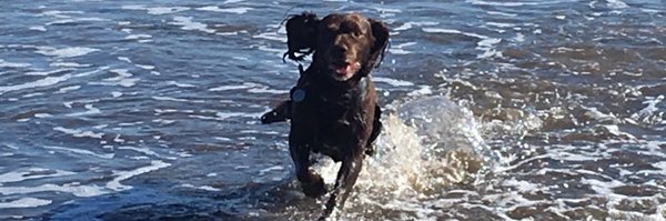 LesleyCMoore Profile Banner