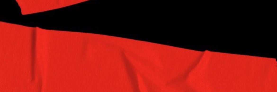 vℹ︎n i banner