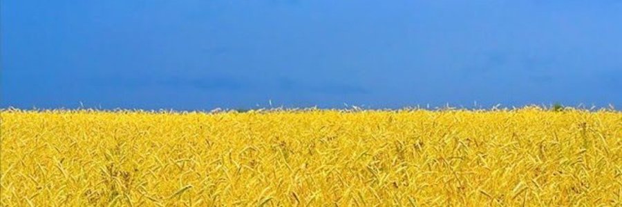 sololois's profile banner image